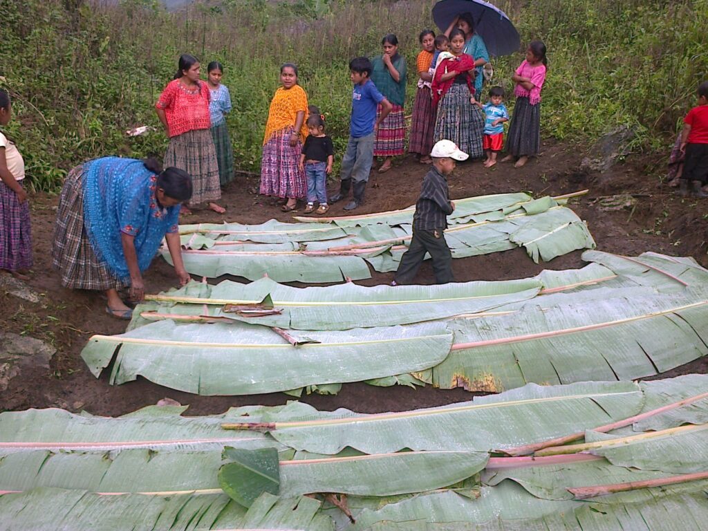 Personas trabajando en huerto familiar