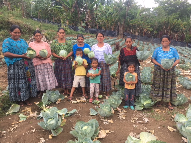 Mujeres de pie mostrando la cosecha de repollo