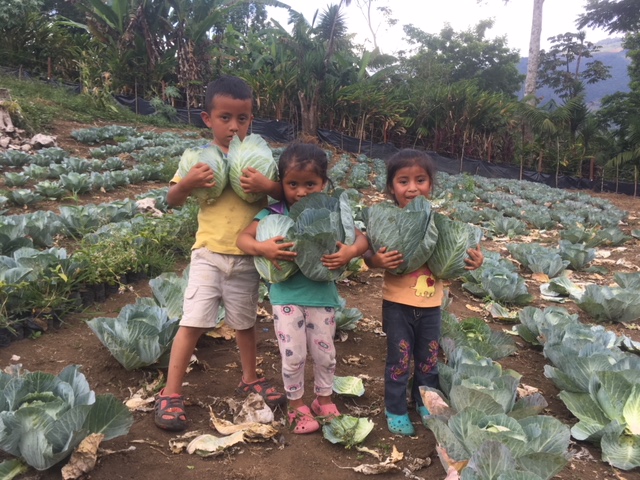 Niños produciendo alimento natural, local, comunitario