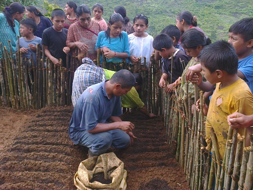 Practica de huerto familiar